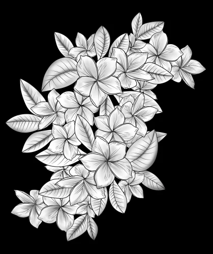 Цветочная композиция 044 (франжипани) 